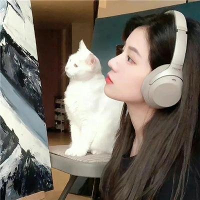 表兄本的营队放映活动